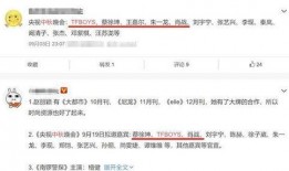 爆料神秘嘉宾名单大全最新,神秘嘉宾名单大全大揭秘！