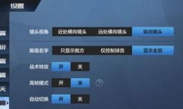 fc31最新爆料视频,揭秘我国隐形战机的神秘面纱