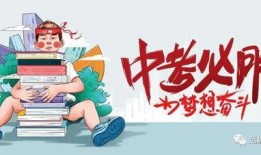 爆料鸡血行情最新消息,鸡血行情最新动态，市场风云再起！