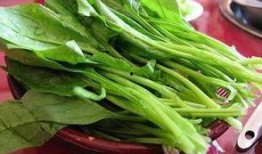菠菜最新爆料视频,惊人内幕大公开！