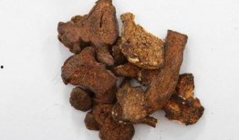 白术背景故事爆料最新,从神秘仙草到传奇医师的蜕变之路