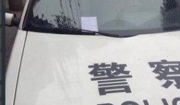 广州假警车最新爆料视频,揭秘伪装真相