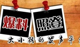 中国最新爆料新闻网,聚焦热点事件，揭秘社会真相