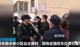 网友爆料南阳打人案件最新,真相与反思