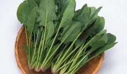 菠菜最新爆料视频,惊人内幕大公开！