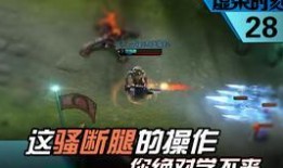 fc31最新爆料视频,揭秘我国隐形战机的神秘面纱