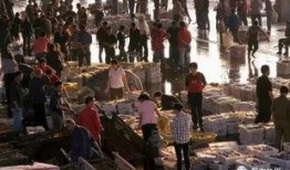 渔民觉醒最新爆料,揭秘海洋生态危机背后的惊人真相