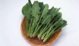 菠菜最新爆料视频,惊人内幕大公开！
