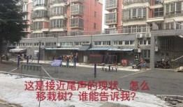 广州小区问题爆料最新,物业管理乱象频发，居民生活陷入困境